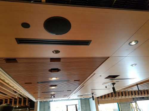 antic design cactus club 1