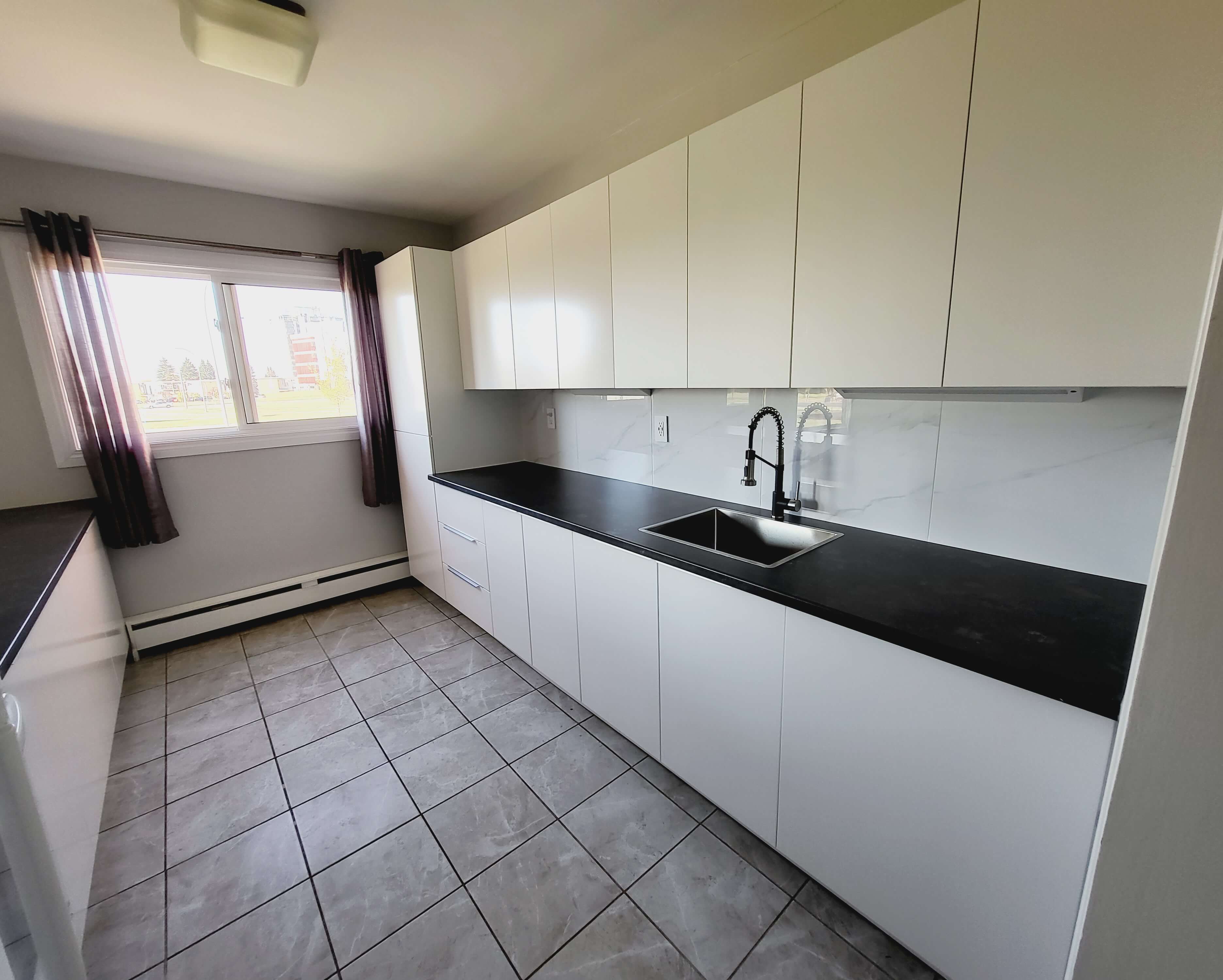 Edmonton Renovation with Antic Design